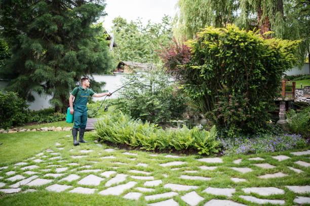 Best Insect Control  in Rosemount, MN