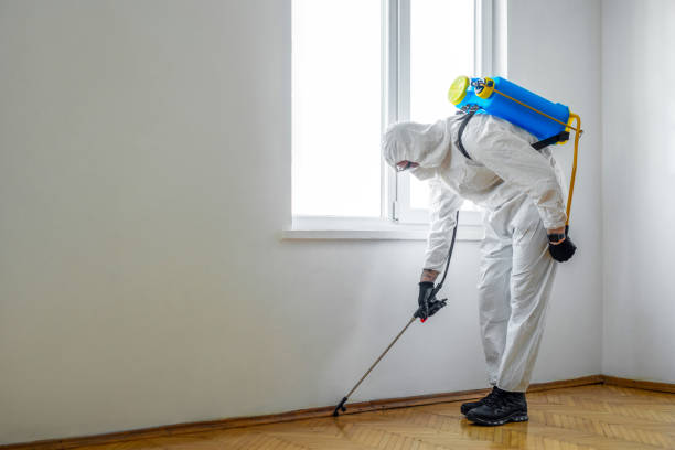 Trusted Rosemount, MN Pest Control Experts