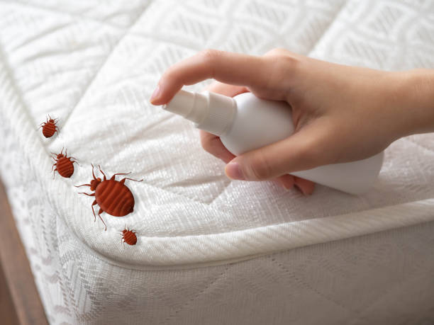 Best Residential Pest Control  in Rosemount, MN