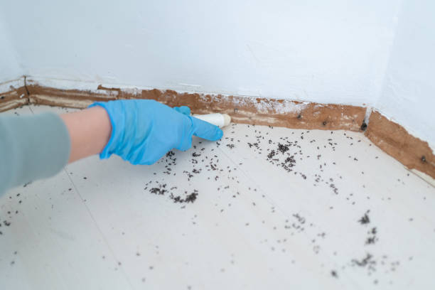 Best Pest Control for Restaurants  in Rosemount, MN