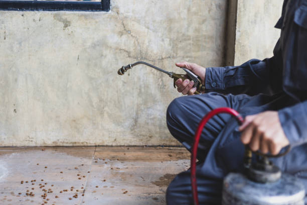 Best Local Pest Control Services  in Rosemount, MN