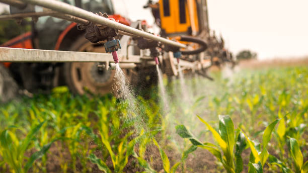 Best Wildlife Control Services  in Rosemount, MN